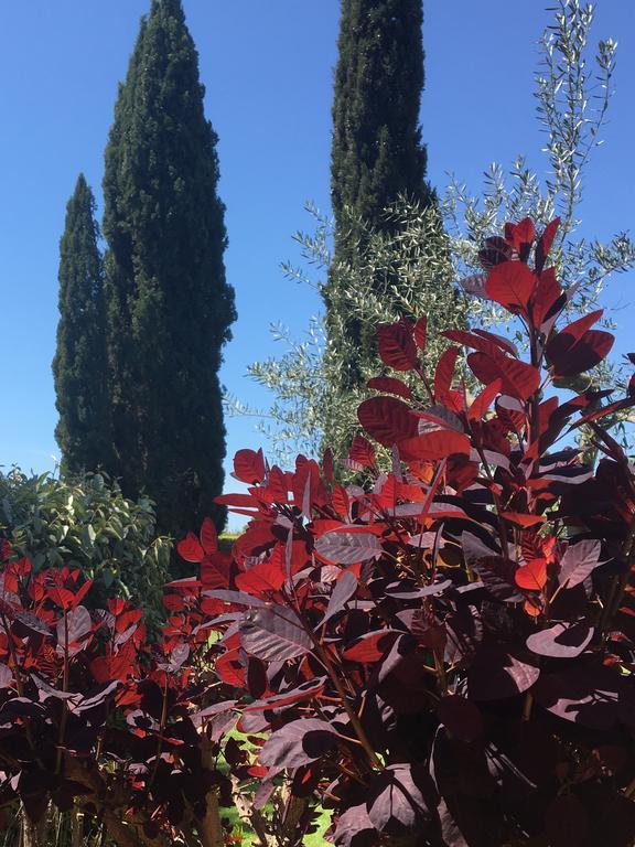 Fattoria Cirene Affittacamere Follonica Esterno foto